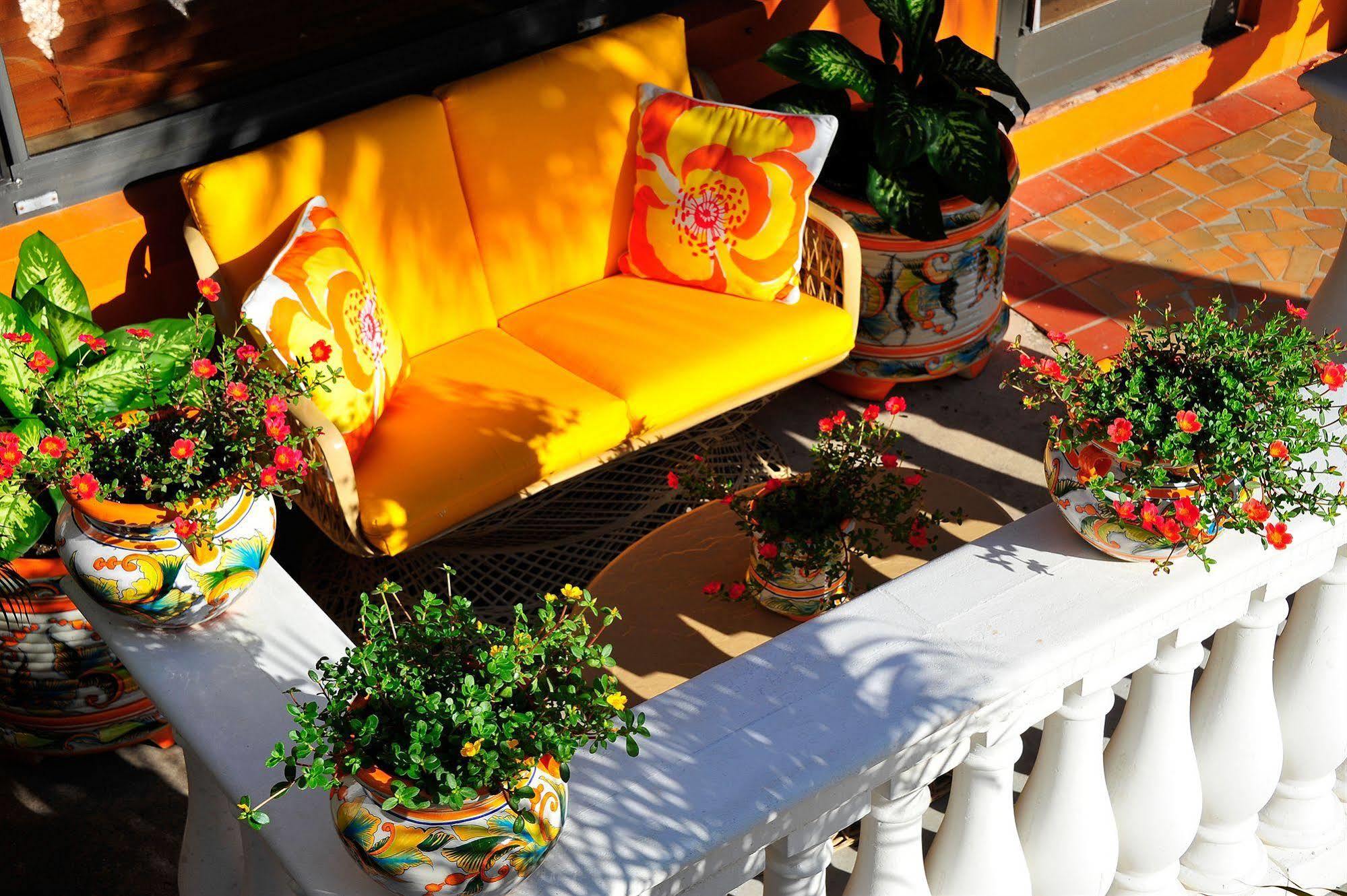 Hotel Blue Seas Courtyard Lauderdale-by-the-Sea Esterno foto